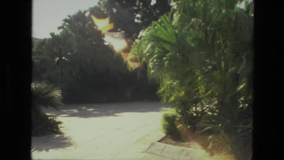 1974 India 8mm frame of a sunlit stone courtyard framed by palm trees and dense greenery.