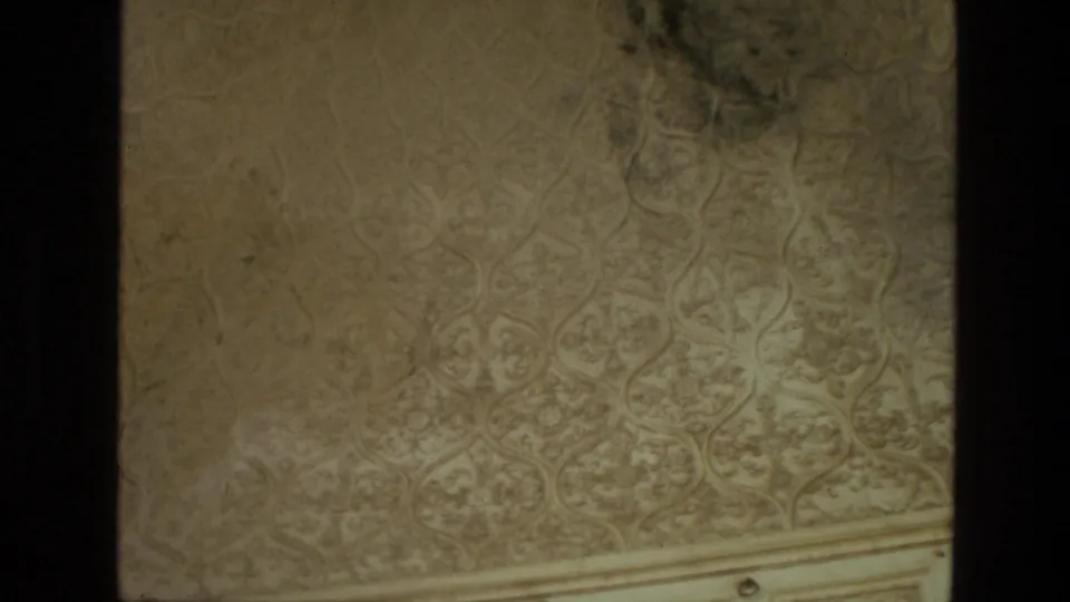 1974 India 8mm frame focused closely on a pale carved wall surface with dense floral and geometric ornament and a horizontal architectural band.