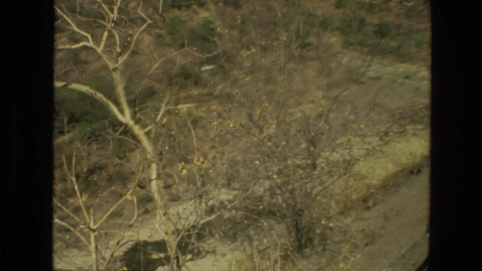 1974 8mm frame in India showing leafless trees and scrub before a dry hillside, with the rock-cut structures partly obscured.