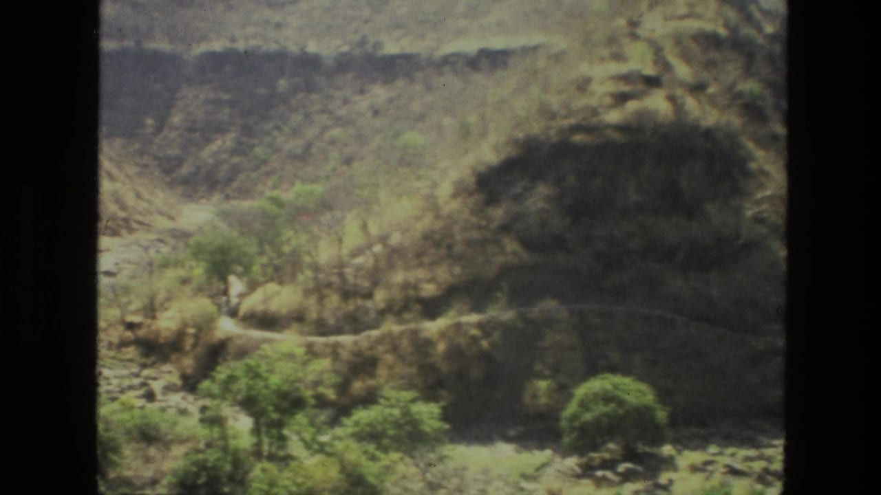 Rocky hillside with scrub trees and a dry ravine below.