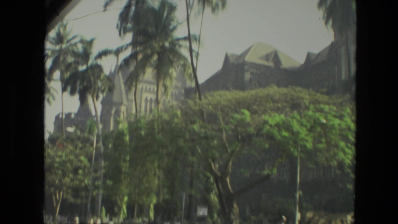 Tree-lined view of a large building with palms and dark vertical framing.