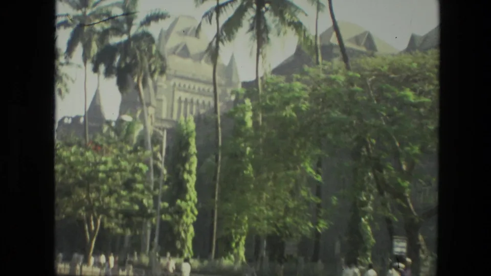 1974 India home-movie frame with palms, roadside foliage, and a partly obscured stone building in the background.