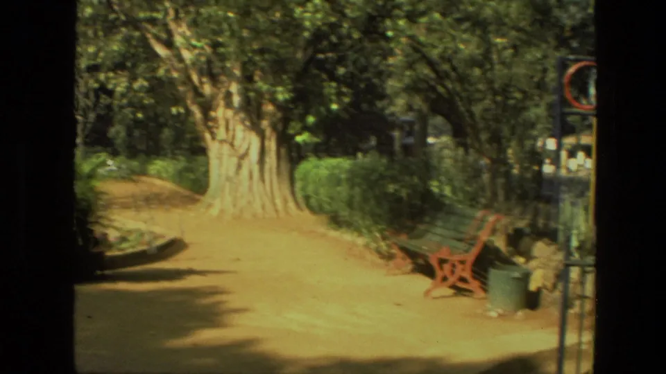 A sun-dappled park path in India shows large trees, red benches, shaded greenery, and the edge of a colorful metal gate.
