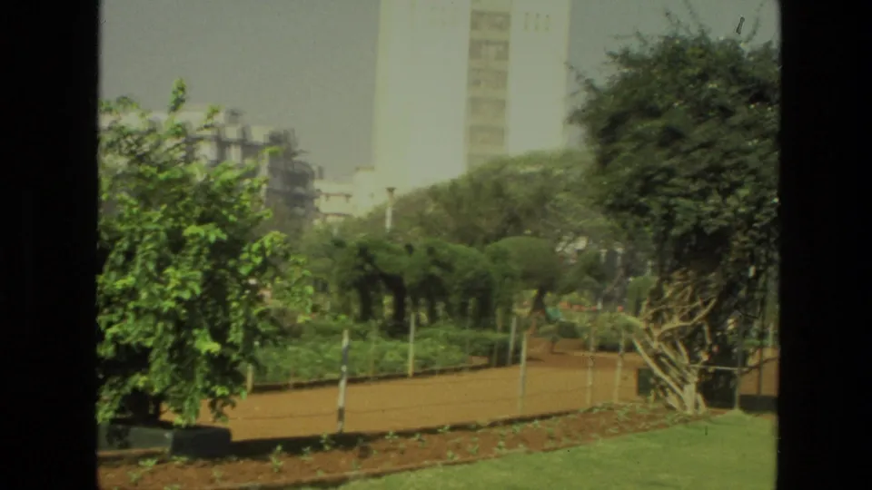 1974 India 8mm frame showing a landscaped urban park foreground and tall modern buildings beyond the trees.
