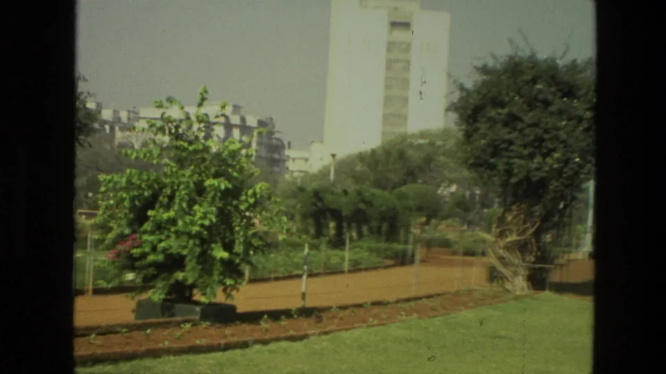 1974 India urban park frame with planted beds, a small tree, paths, dense greenery, and a tall building beyond.