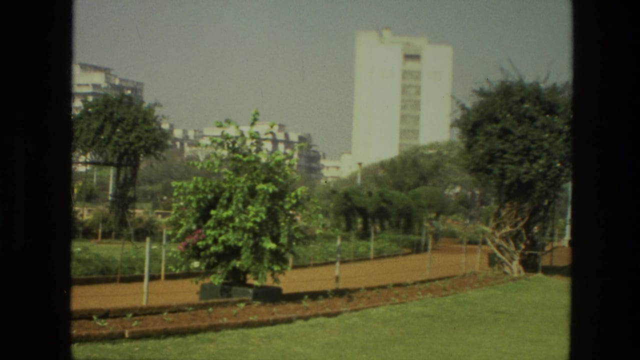 1974 India 8mm view of a landscaped park with green lawn, path, shrubs, trees, and distant high-rise buildings under a hazy sky.