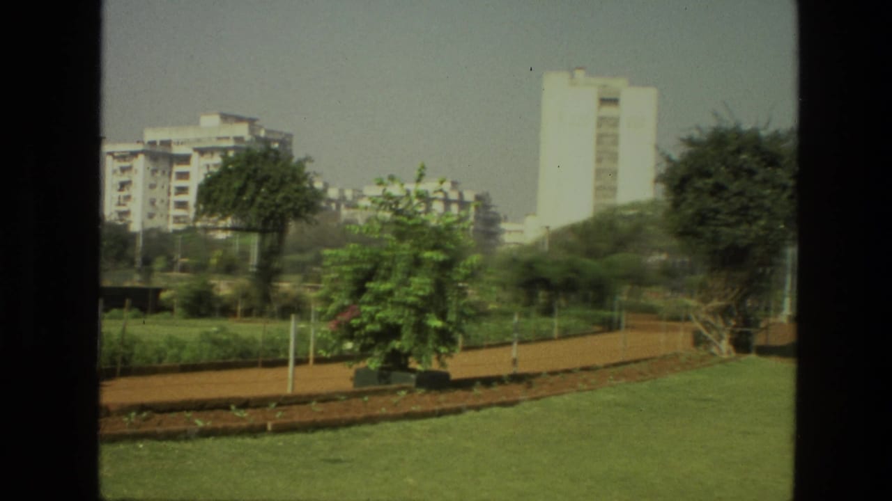 Park path and lawn with a shrub, trees, and distant apartment blocks.
