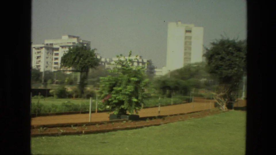 1974 India home-movie frame showing a park path, low planting beds, trees, and pale high-rise buildings beyond the greenery.