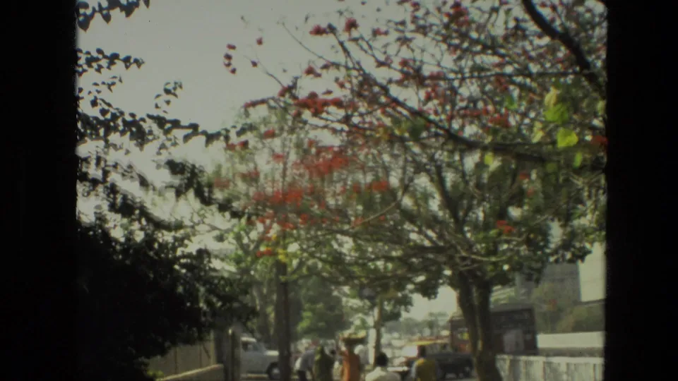 1974 India home-movie frame of a sunlit urban street with flowering trees, pedestrians, cars, and a dark vertical window edge.