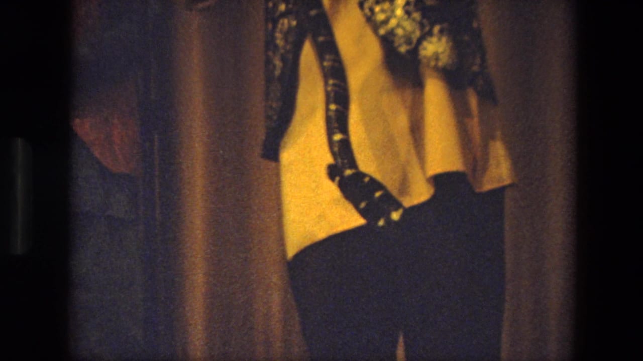 Person in a yellow shirt holding a dark patterned snake indoors.