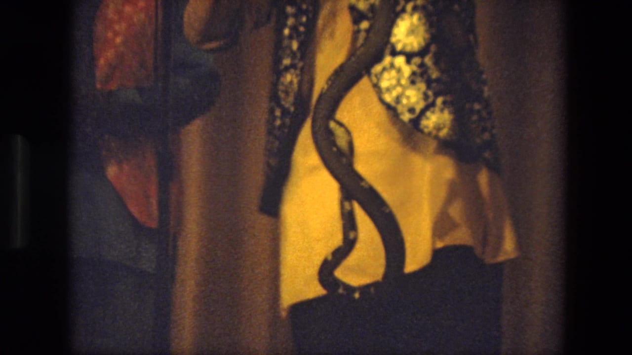 1974 India 8mm frame with a dark patterned snake curving across a person's yellow shirt and dark trousers.