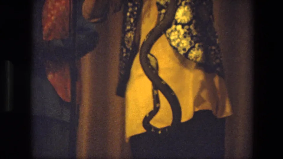 1974 India 8mm frame with a dark patterned snake curving across a person's yellow shirt and dark trousers.