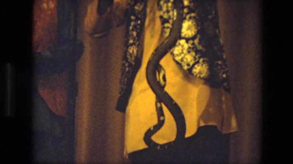 1974 India 8mm frame showing a close, grainy view of a snake hanging over a person wearing a yellow shirt.