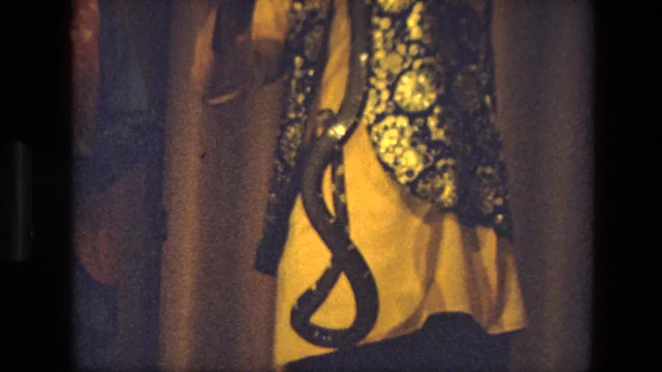 1974 India 8mm frame of a patterned snake across a person's torso, with warm light and soft film grain.