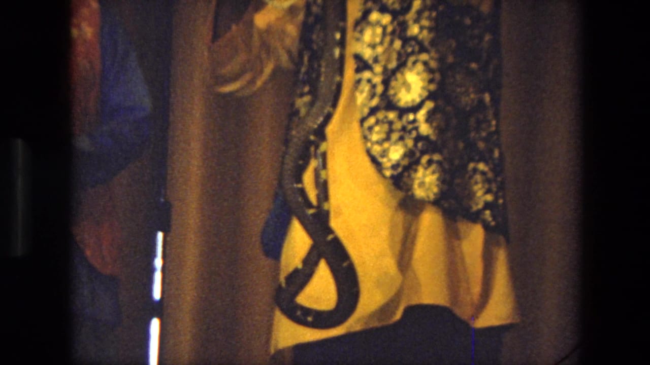 Partial close view of a costumed stage performer holding a snake beside dark film borders.