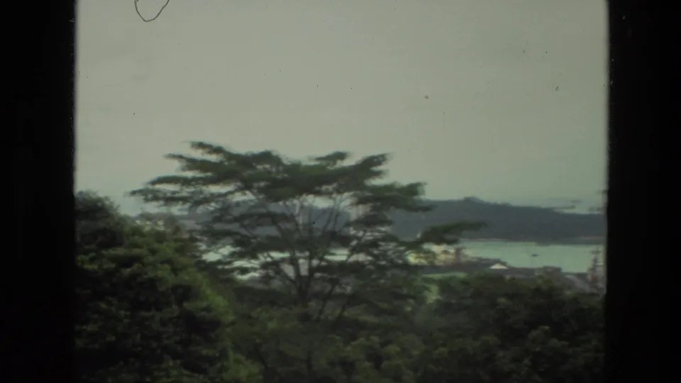 1974 India 8mm frame showing a wooded foreground over a reservoir or waterway, with distant shoreline and built structures under a pale sky.
