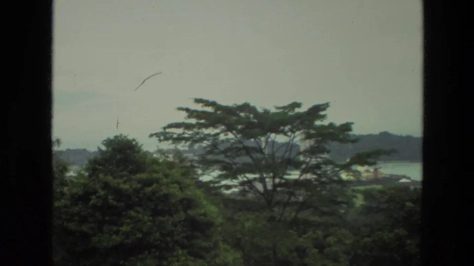 1974 India 8mm frame looking past window mullions toward dense green treetops, hazy water, and a distant shoreline.