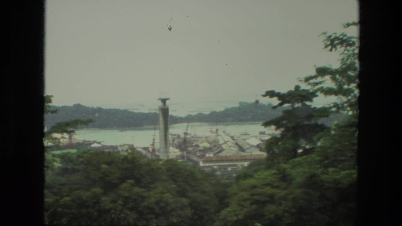 Elevated view over trees toward water, rooftops, and a tall tower framed by dark edges.