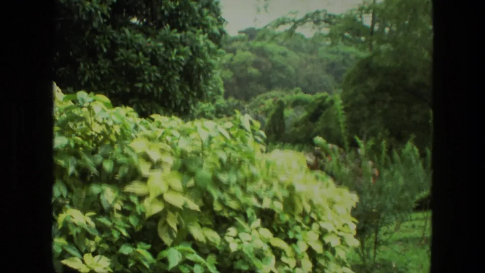 Vintage 8mm frame from India in 1974 showing green shrubs, trees, and a layered garden landscape.