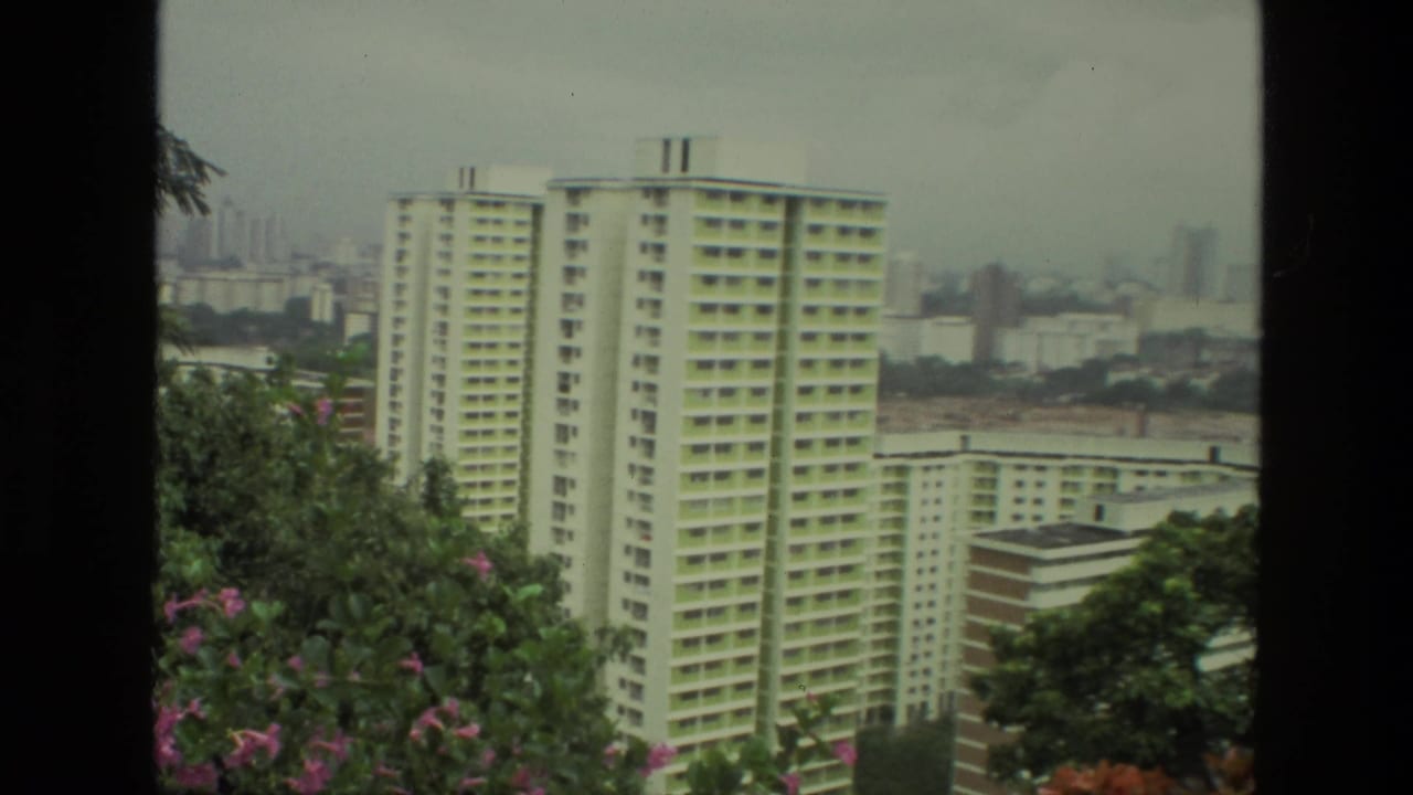 Tall off-white apartment tower seen beyond trees with a hazy city skyline behind it.