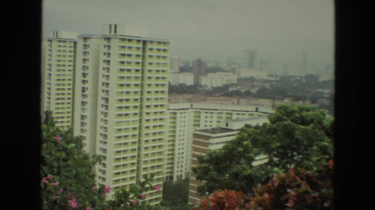 High-rise apartment blocks and trees viewed through dark vertical film-frame borders.