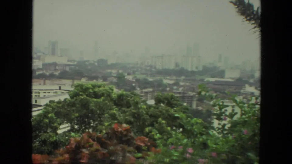 1974 India 8mm frame showing a hazy urban skyline beyond lush foreground trees and pink flowering plants.