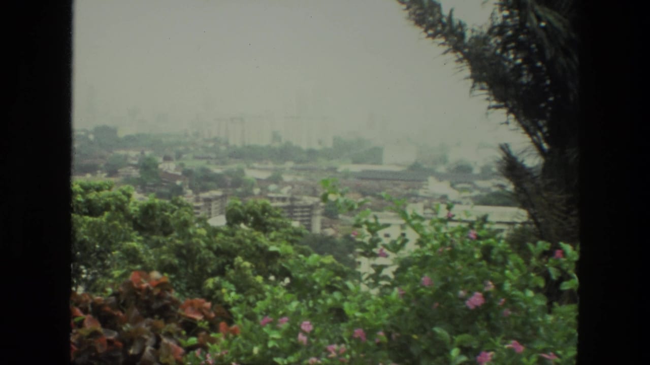 City skyline partly obscured by green foliage, pink flowers, and a dark palm edge.