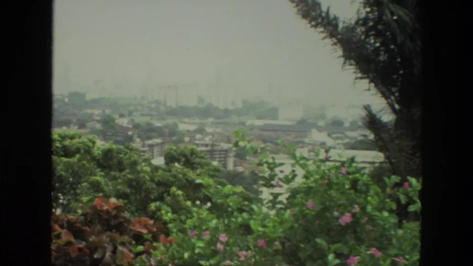 1974 India 8mm frame with a distant hazy cityscape framed by flowering greenery and dark palm foliage at the edge.