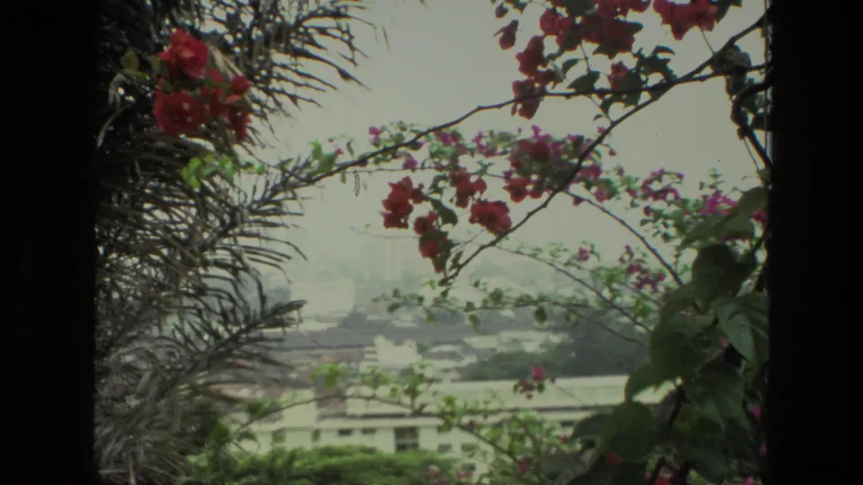 1974 India home-movie frame with red and pink flowering branches in front of a soft, hazy urban background.