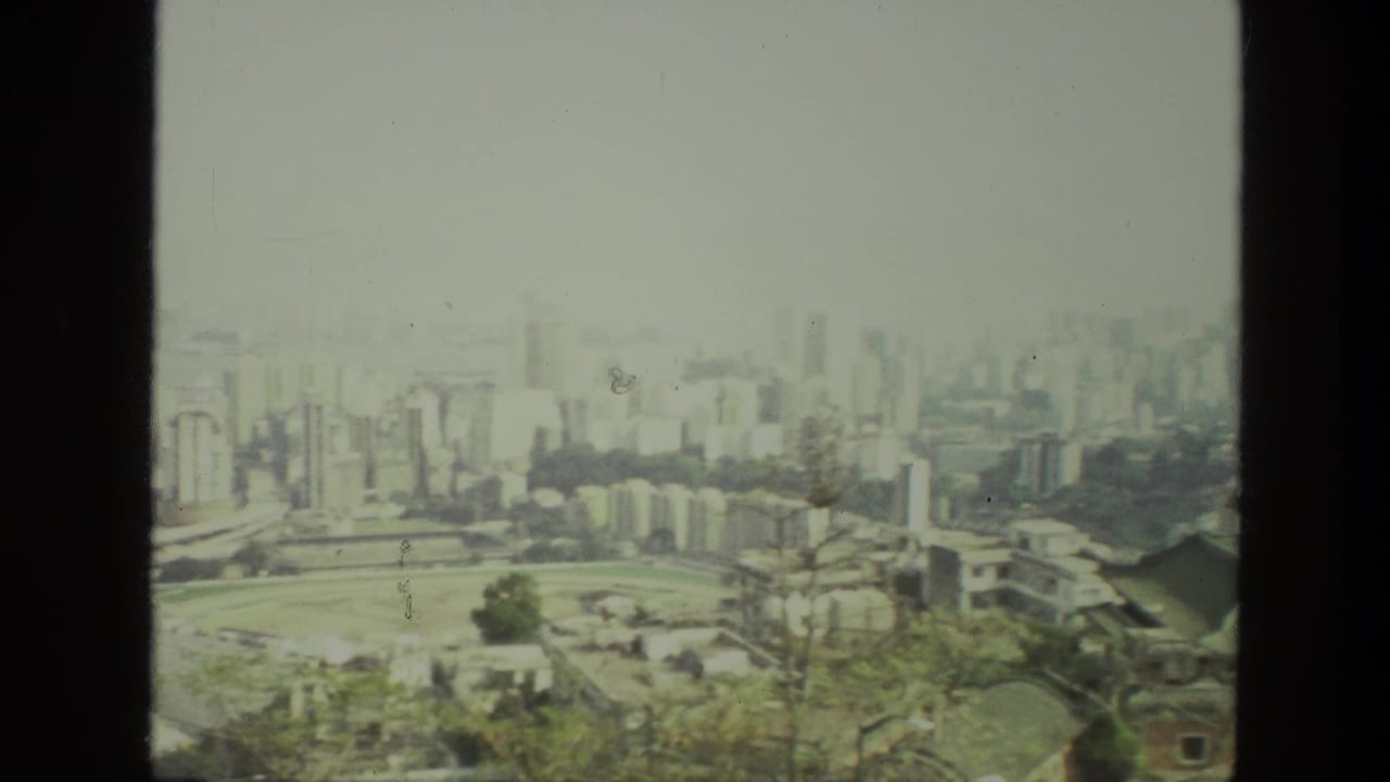Wide city view with dense buildings, pale skyline, trees, and a large open area.