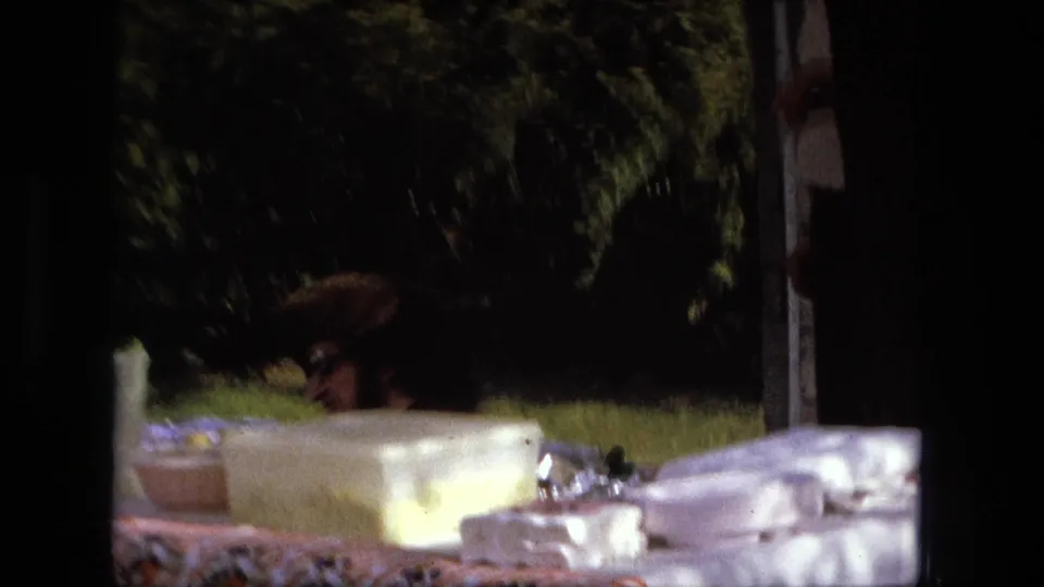 At the end of the Fort Wayne backyard gag, the performer is low behind the picnic table as the home-movie frame darkens at the edges.
