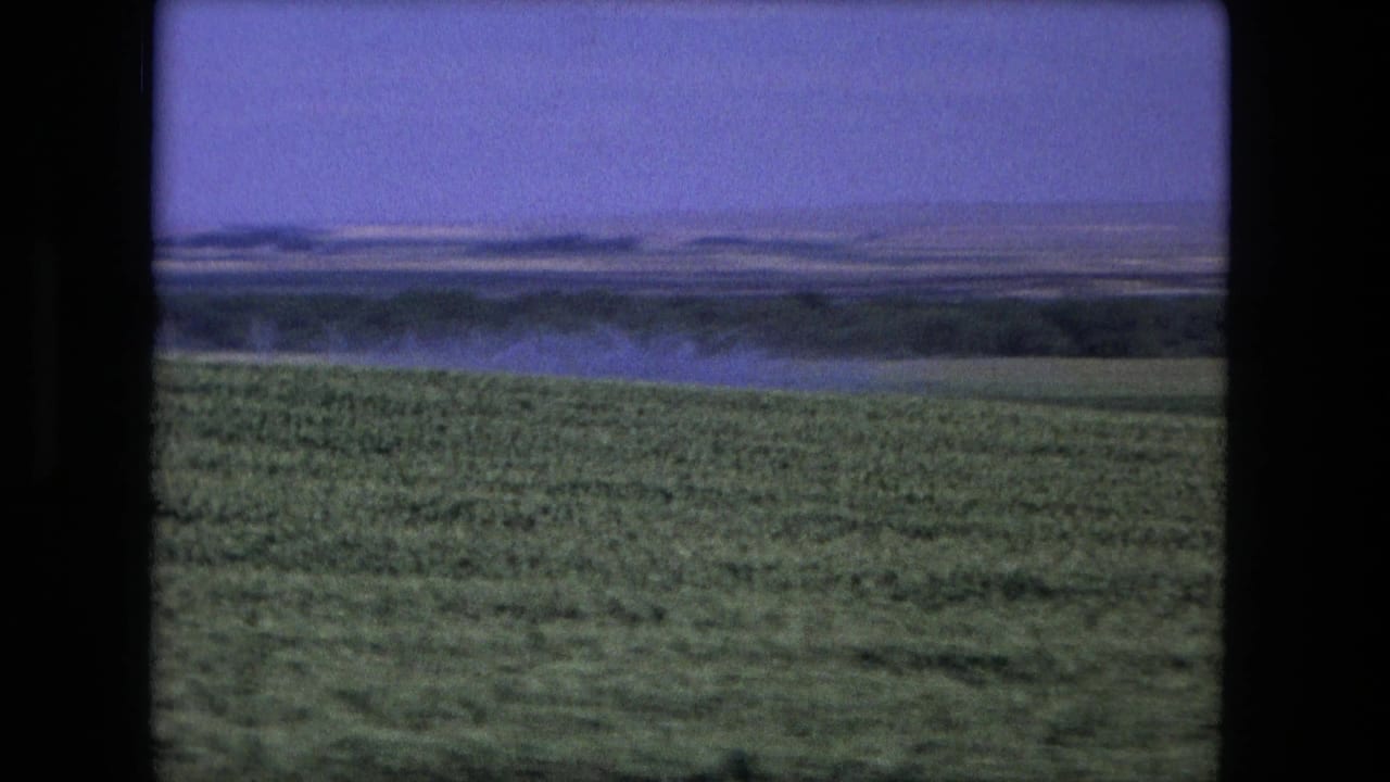 Green field and distant water or haze beneath a purple-blue sky, framed by dark 8mm borders.