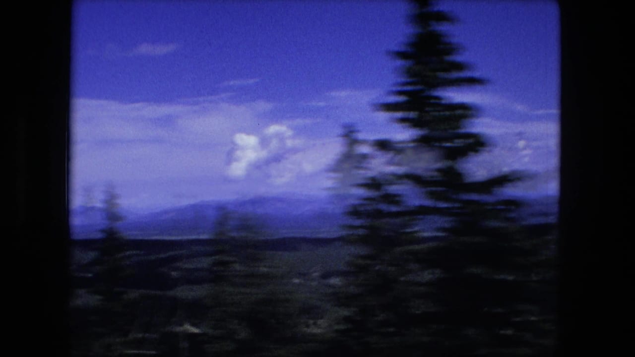 Forested mountain view seen past blurred pine trees under a blue sky.