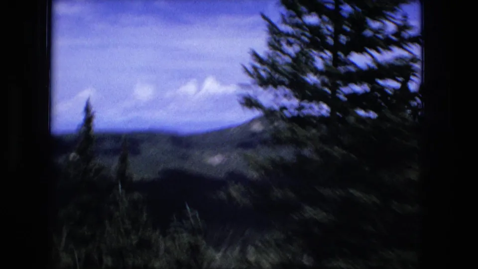 1976 8mm travel frame looking across forested hills and distant ridges through dark pine branches.