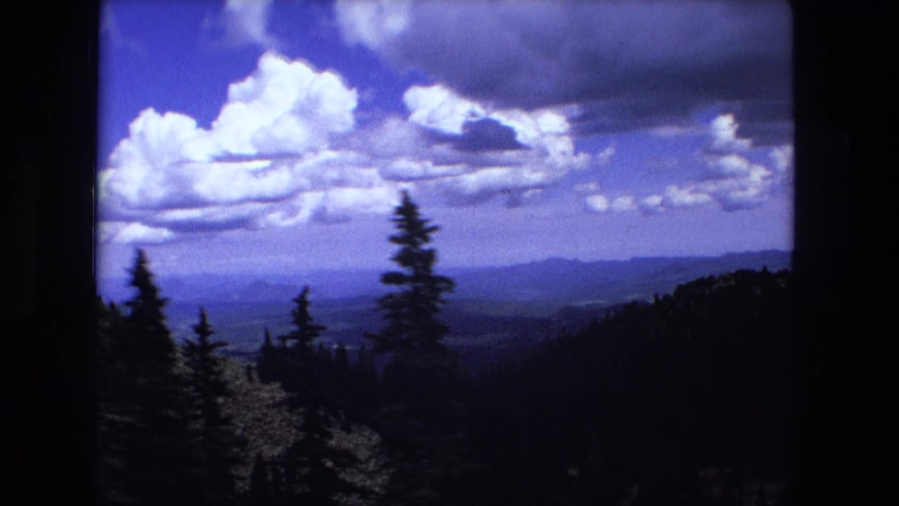 Evergreen trees and distant mountain ridges beneath bright clouds.