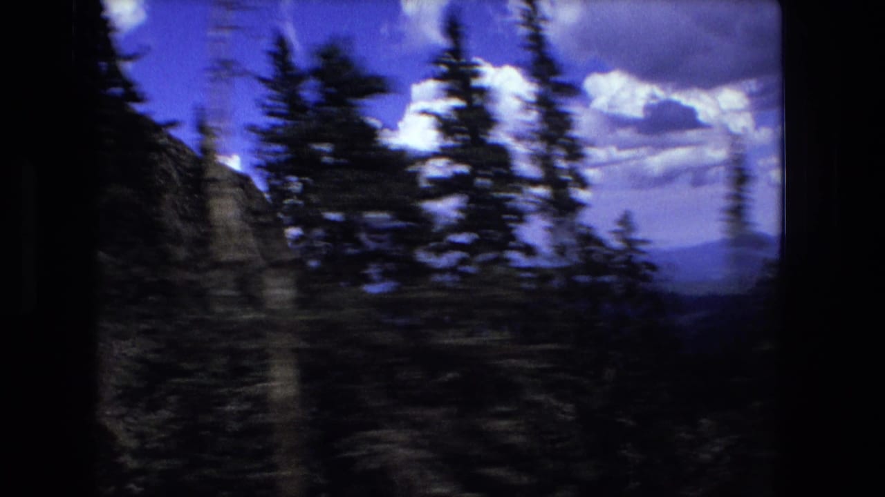 Handheld 8mm frame with dark evergreen trees and a rocky or wooded slope against a blue sky and far mountain horizon.