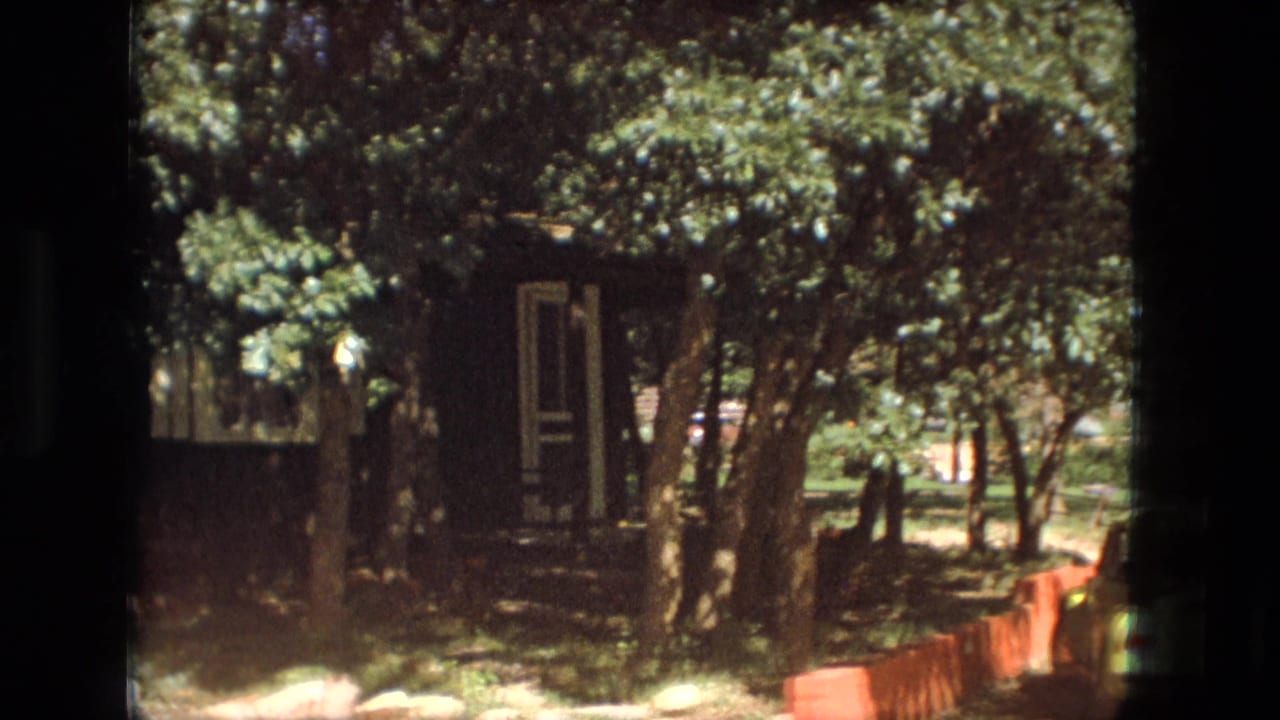 Trees and a dark building beside a low red border in sunlight.
