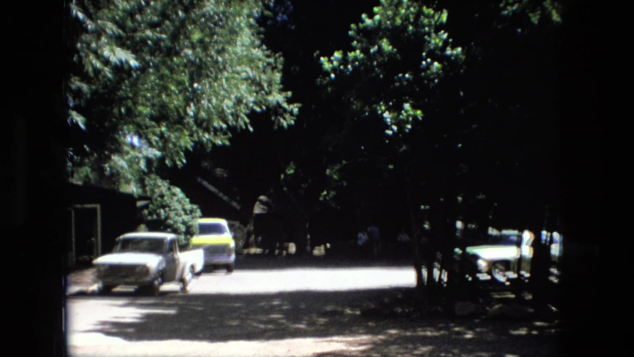 Wooded street with parked white pickup, yellow car, and deep shade across the road.
