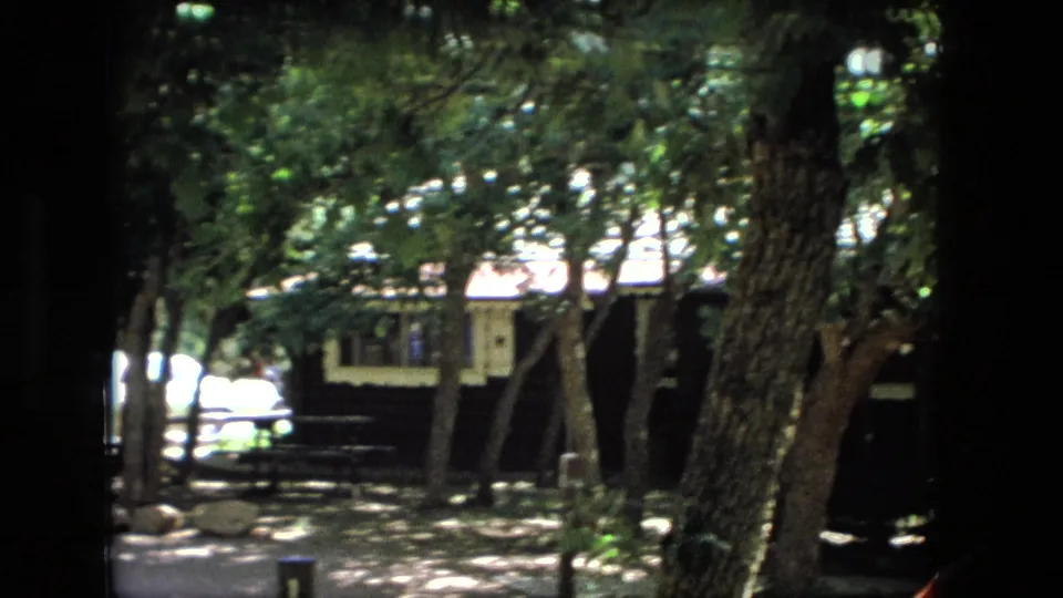 Wooded Fort Wayne roadside scene with a small house-like structure, parked cars, tree trunks, and dappled 8mm sunlight.
