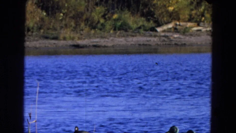 1968 Diller, Nebraska frame dominated by rippling blue water, with distant shoreline brush and ducks partly visible near the bottom.