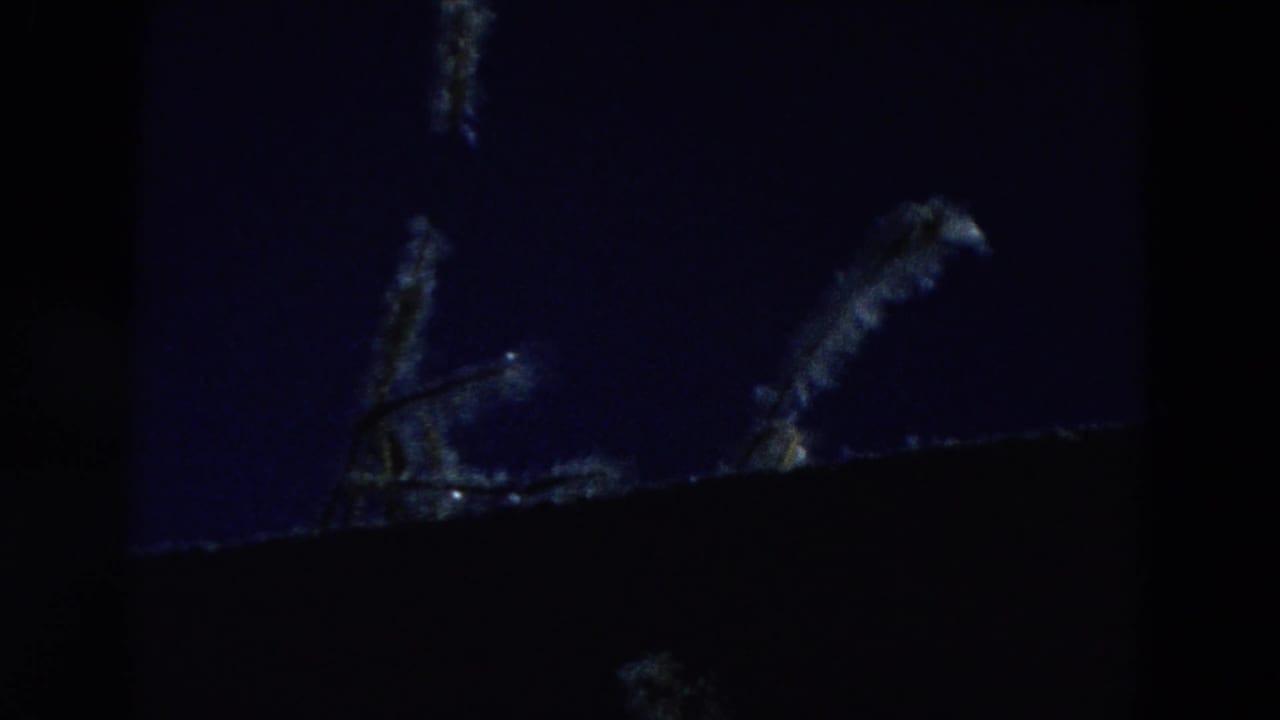 Dark blue night sky with a pale wispy shape above a black foreground silhouette.