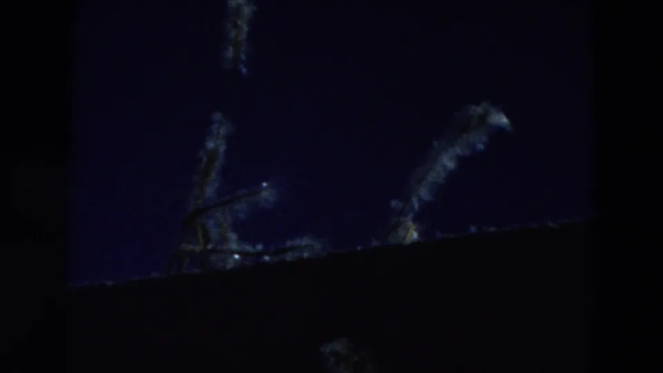 1968 Diller, Nebraska 8mm frame showing a faint, feathery light shape against a dark blue night sky and black foreground edge.