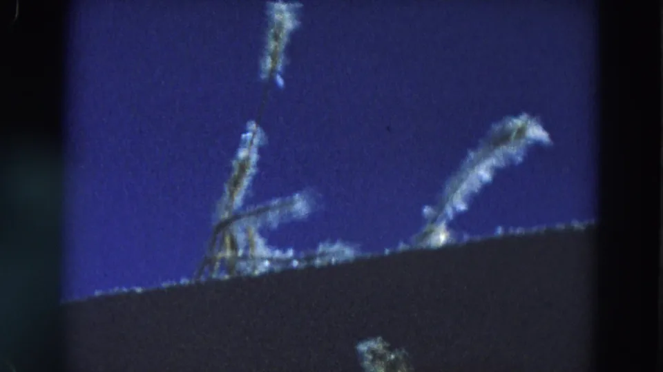 1968 Diller, Nebraska frame with multiple pale, feathery forms above a dark sloped foreground in grainy 8mm night footage.
