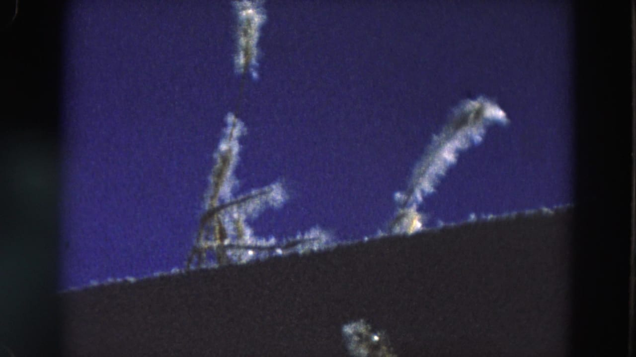 Blue sky above the dark edge of a structure with pale plant or branch shapes visible.