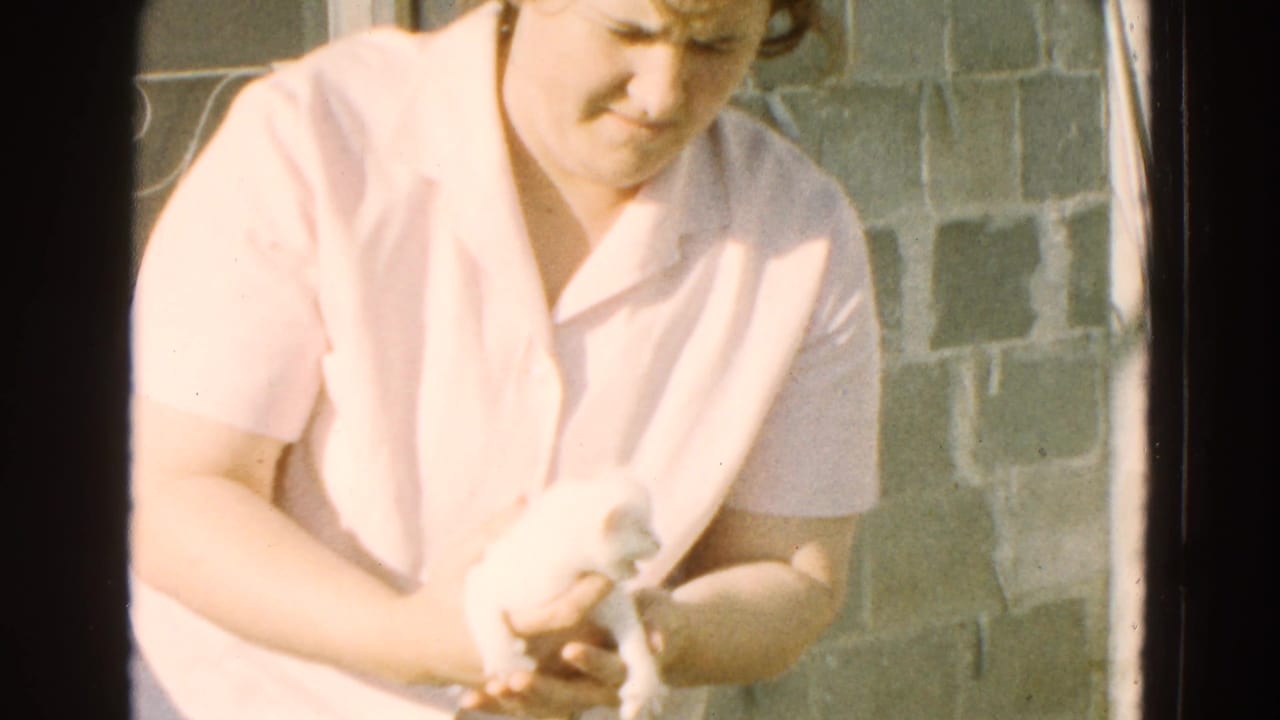 Woman in a light pink shirt cradles a small white puppy outdoors near a stone wall.