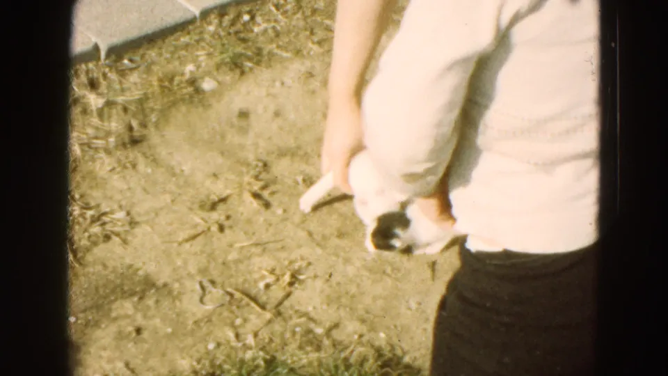 A woman lowers very young puppies toward the ground in a sunlit outdoor area, with a walkway and dirt patch visible.