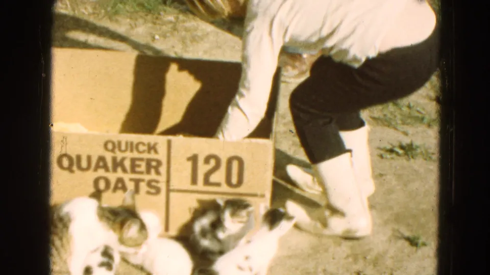A person in a light top and dark pants crouches beside kittens near the Quaker Oats box in the rural 1968 home-movie scene.