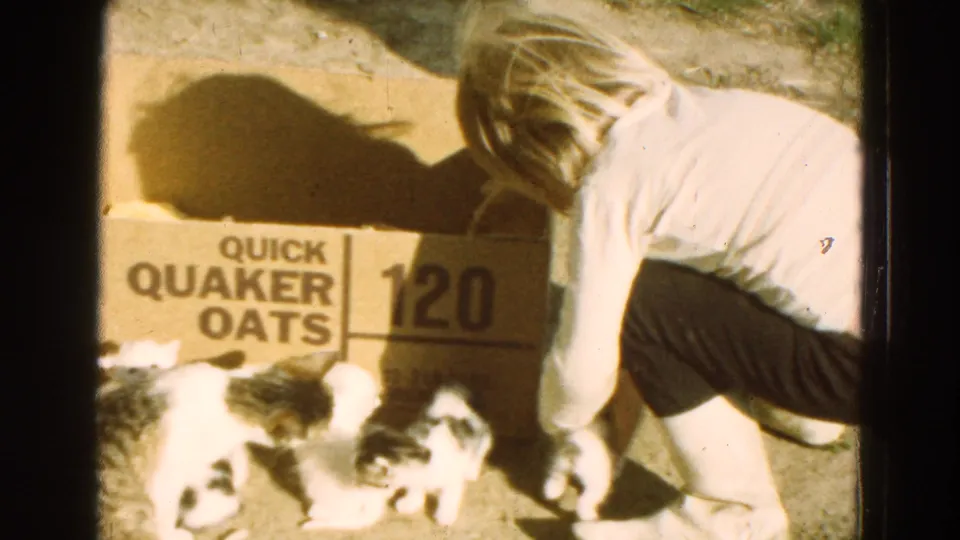 The person bends toward kittens at the edge of a Quaker Oats box, with bright sunlight and warm 8mm color visible.