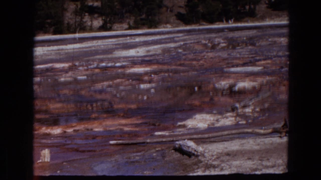 Muddy flooded flats with white mineral streaks, driftwood, and dark trees at the top edge.