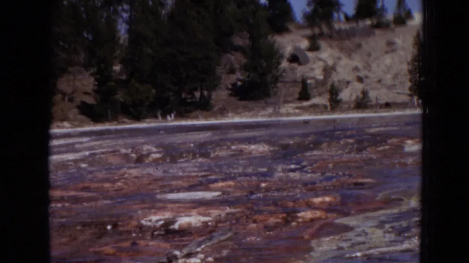 1967 Yellowstone frame showing flooded mineral terrain below evergreen trees and a pale rocky hillside, with soft 8mm home-movie focus.